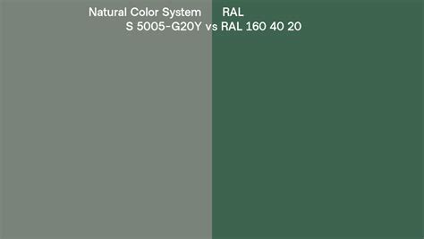 Natural Color System S 5005 G20y Vs Ral Ral 160 40 20 Side By Side