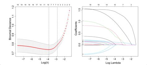 Figure Demographic And Clinical Feature Selection Using The Lasso Download Scientific Diagram