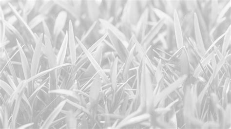 Vibrant Close Up Texture Of Lush Green Grass Grass Pattern Grass Texture Grass Png