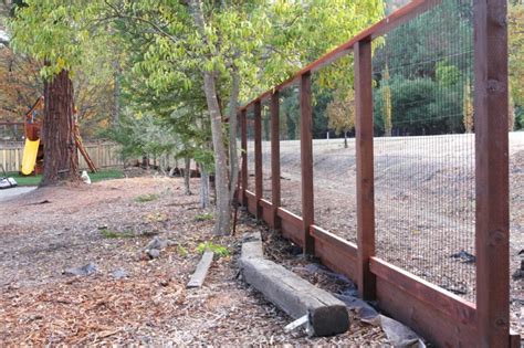 DIY Dog Fence Ideas and Installation Tips: 6 Best Cheap Designs