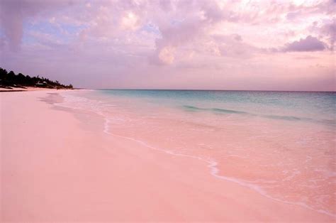 Bahamas Pink Wallpaper Laptop Beach Wallpaper Pink Wallpaper Ipad