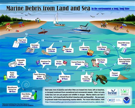 Graphs - Marine Debris