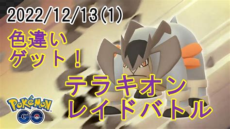 ポケモンgoテラキオンレイドバトル20221213その1 色違いゲット！ Youtube