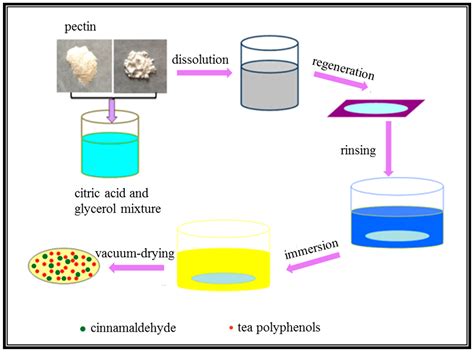 Polymers Free Full Text Facile And Green Preparation Of Pectin