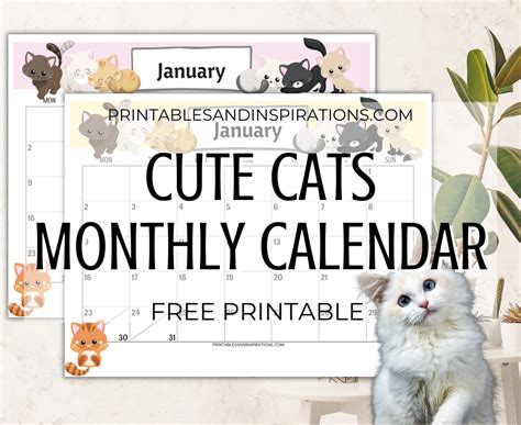 2024 Printable Calendar By Month Cute Cat - Memorial Day 2024 Calendar