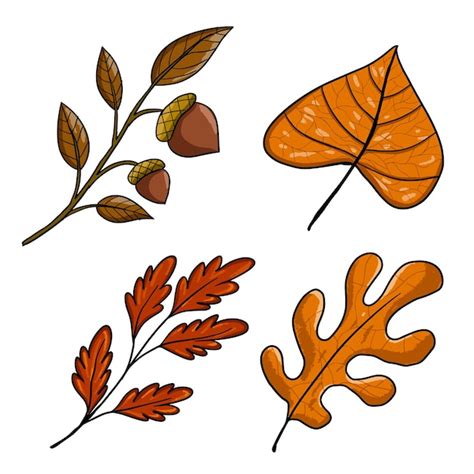 Premium Vector | Acorn autumn leaf cartoon clip art sticker fall of oak ...