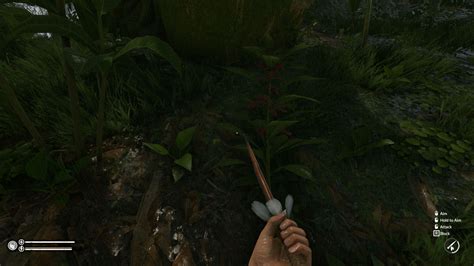 Green Hell Psychotria Location How To Find The Plant Gamewatcher