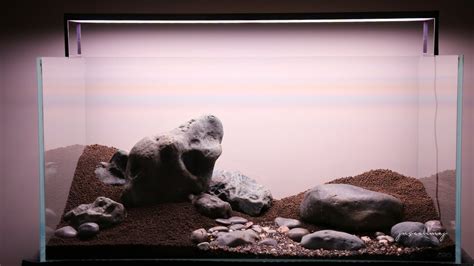 Riverside Iwagumi ADA 90P Aquascape Step By Step Tutorial Part 1