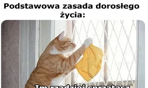 Podstawowa Zasada Doros Ego Ycia