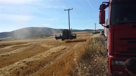 Harvesting Barley With John Deere S660 And Geringhoff Harvest Star 720 1 Youtube