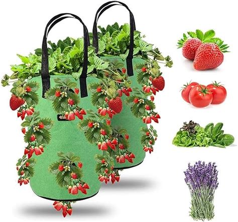 Ulikey Pcs Sac De Plantation Pour Fraise Sacs De Culture Fraises