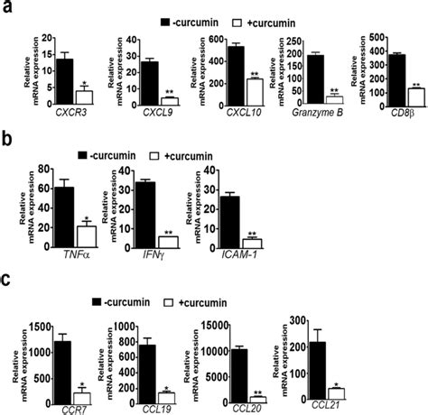 Curcumin Suppressed Markers Of Inflammation In The Brain P Download Scientific Diagram