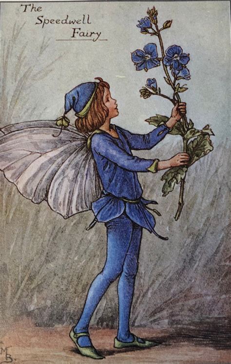 Original Vintage Print 1995 By Cicely Mary Barker The Speedwell Fairy