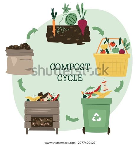 Compost Life Circle Infographic Composting Process Stock Vector