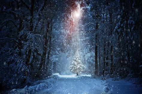 Snowy Landscape Wallpaper 4K - Kress the One