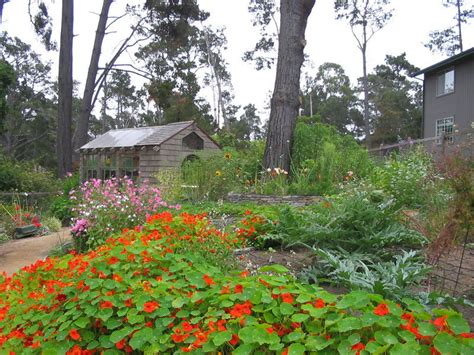 Cambria Pines Lodge Restaurant Localharvest