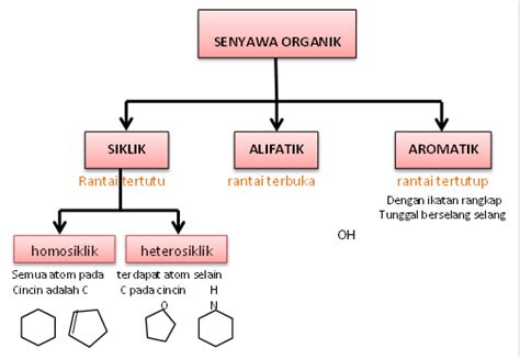 Haliza Agus Putri : KIMIA ORGANIK 1 (KLASIFIKASI SENYAWA ORGANIK)
