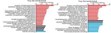 Lncrnas