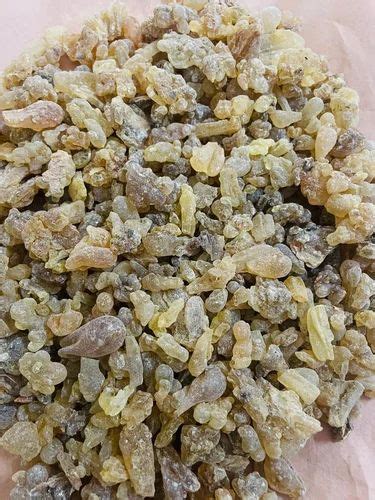 Pure Indian Frankincense At ₹ 550kg Boswellia Serrata In Navi Mumbai