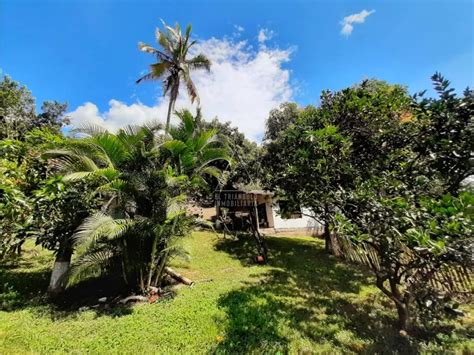 Se Vende Finca En Viotá Cundinamarca 500 000 000 Cop