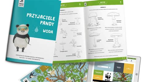 Rusza Druga Edycja Programu Przyjaciele Pandy Fundacji WWF Polska