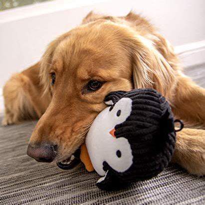 The 10 Best Squeaky Dog Toys - Quiet Squeaky Dog Toys