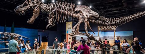 Examine Fossil Replicas Of Dinosaurs At Orlando Science Center