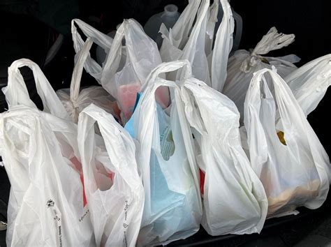 Njs Strictest In The Nation Ban On Single Use Bags Takes Effect Soon