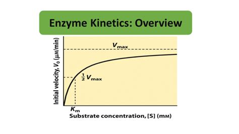 Enzyme Kinetics Notes Microbiology Notes