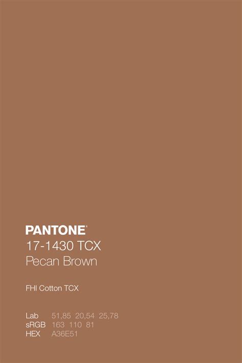 PANTONE 17 1430 TCX Pecan Brown Color Code Lab SRGB HEX Pantone