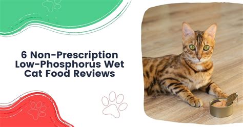 6 Non Prescription Low Phosphorus Wet Cat Food Reviews I Love Veterinary