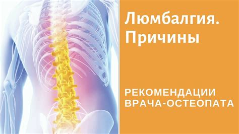 Люмбалгия. Как победить недуг и избежать осложнений? Причины люмбалгии ...
