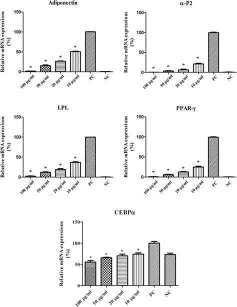 Relative MRNA Expression Levels Of Genes Related To Adipogenesis