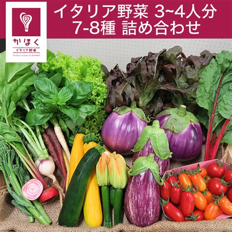 かほくイタリア野菜 7 8種セット 詰め合せ【かほくイタリア野菜研究会】 ※クール便配送