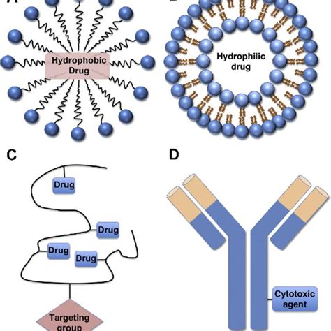 Pdf Mr Guided Drug Delivery