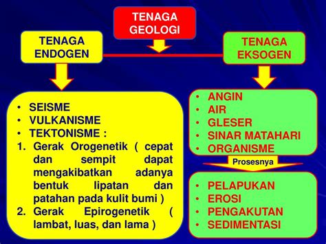 detail contoh tenaga endogen  eksogen koleksi nomer