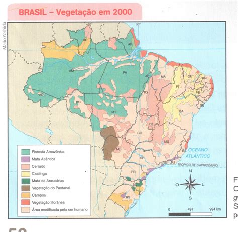 Colégio Autêntico: A relação entre clima e vegetação 