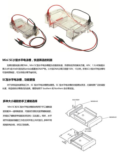 Mini Sc型 浸没式水平电泳槽 北京凯元信瑞仪器有限公司