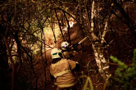 Chile Hunderte Waldbrände mindestens 22 Tote DER SPIEGEL