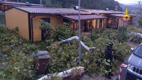 Maltempo Forte Vento Nelle Marche Alberi Caduti E Parchi Chiusi A