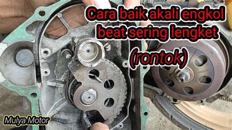 Gigi Engkol Beat Sering Lengket Dan Rontok Coba Lakuka Cara Ini YouTube