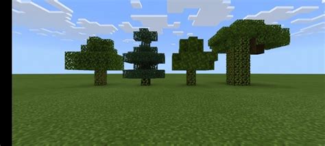 Minecraft How To Get Spruce Wood Firstsportz