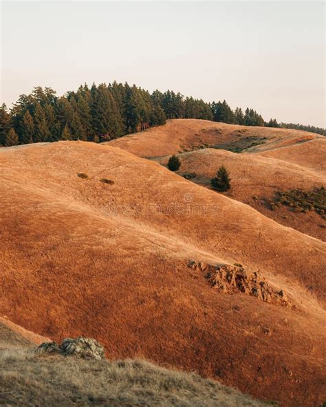 View Of Rolling Hills At Sunset From Mount Tamalpais California Stock