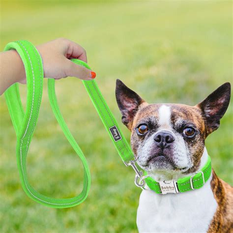 Pet Dog Collar And Leash Set Nylon Adjustable Padded Collar Dog ...