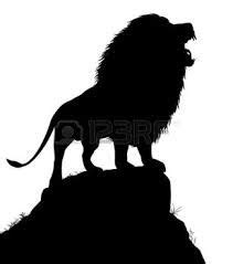 Female Lion Vector at GetDrawings | Free download