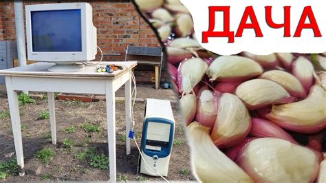моя дача: грядки, лук чеснок и редис - разбор компа - YouTube