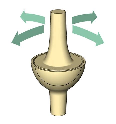 Condyloid Joint Diagram - Wiring Diagram Pictures