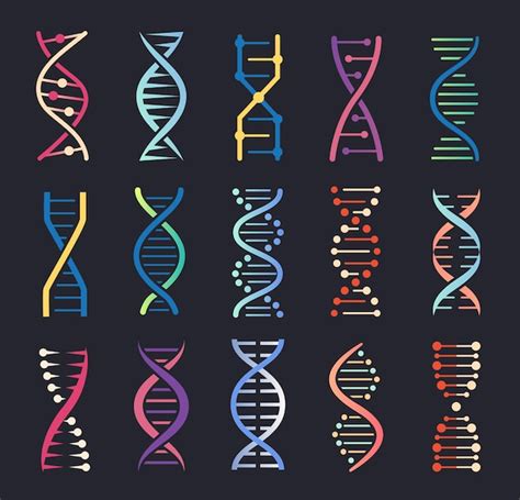 Premium Vector Dna Helix Icons Gene Spiral Molecule Structure Human