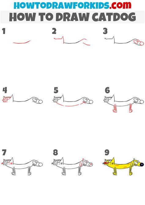 how to draw catdog