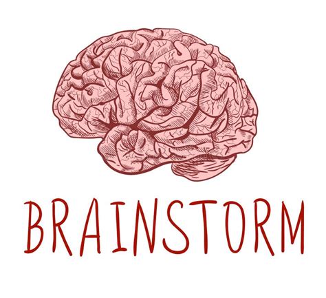 Brainstorm Letras E Desenho De Esboço Escritos à Mão Do Cérebro Humano